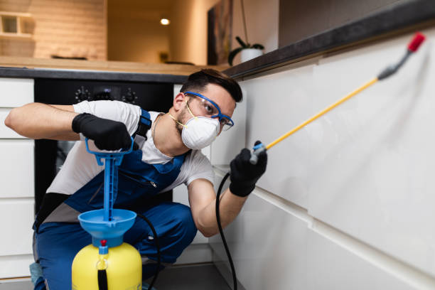 Best Pest Removal Services  in Auburn Lake Trails, CA