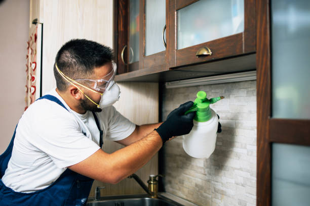 Flea Control Services in Auburn Lake Trails, CA