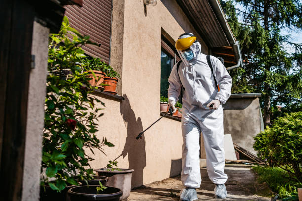 Best Residential Pest Control  in Auburn Lake Trails, CA
