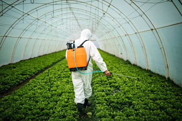 Best Commercial Pest Control Services  in Auburn Lake Trails, CA