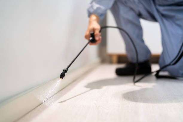 Best Mosquito Control Services  in Auburn Lake Trails, CA