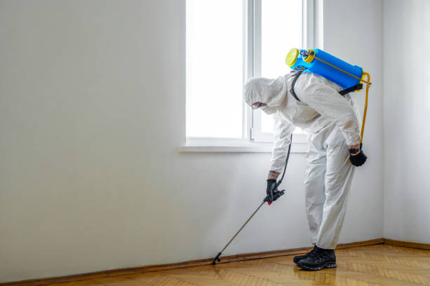 Best Best Pest Control Companies  in Auburn Lake Trails, CA