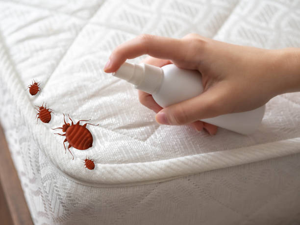 Pest Control for Restaurants in Auburn Lake Trails, CA