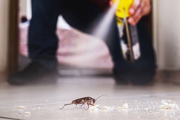 Best Pest Control Near Me  in Auburn Lake Trails, CA