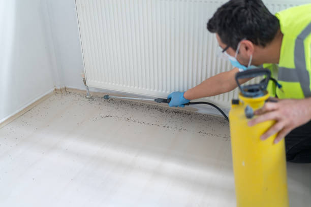 Professional Pest Control in Auburn Lake Trails, CA